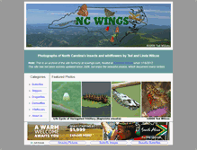 Tablet Screenshot of ncwings.carolinanature.com